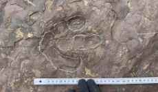 اكتشاف آثار أقدام للديناصورات من العصر الطباشيري في جنوبي الصين