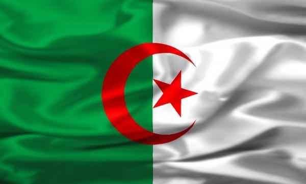 الحكومة الجزائرية ألزمت البلديات بإستخدام الطاقة الشمسية في الإنارة العامة