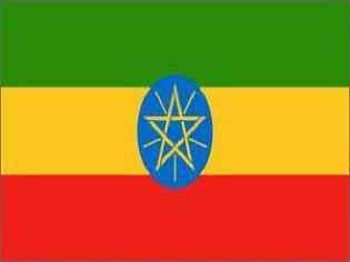 رويترز: إثيوبيا أعلنت حالة الطوارئ بعد زحف قوات تيغراي المتمردة صوب العاصمة