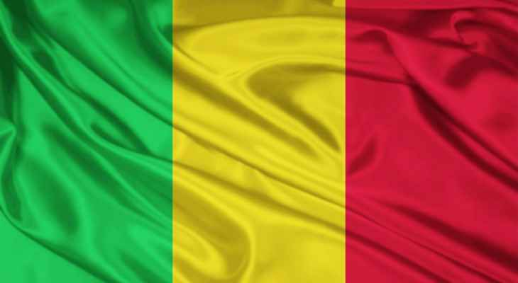 سبوتنيك: مقتل 31 مدنيا وإصابة 8 آخرين في هجوم إرهابي على حافلة بمالي