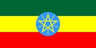 حكومة إثيوبيا إتهمت المتمردين بمنع إيصال المساعدات إلى تيغراي وإقترحت إنشاء منطقة عازلة